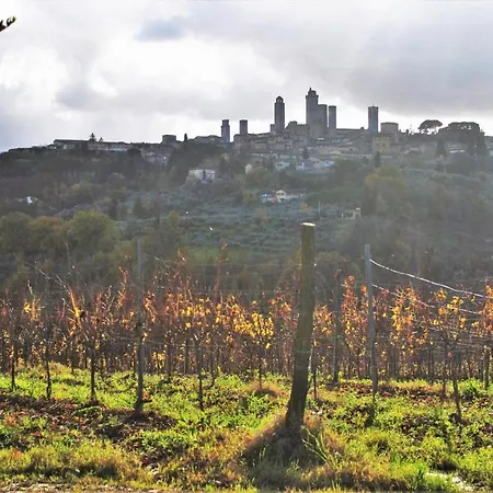 Panoramic Country